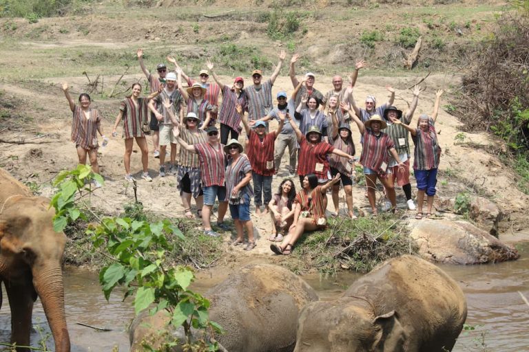 Elephant Safari - Chiang mai