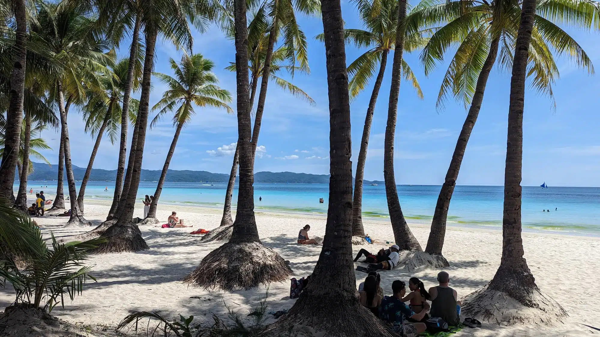 Palm trees, people, Boracay