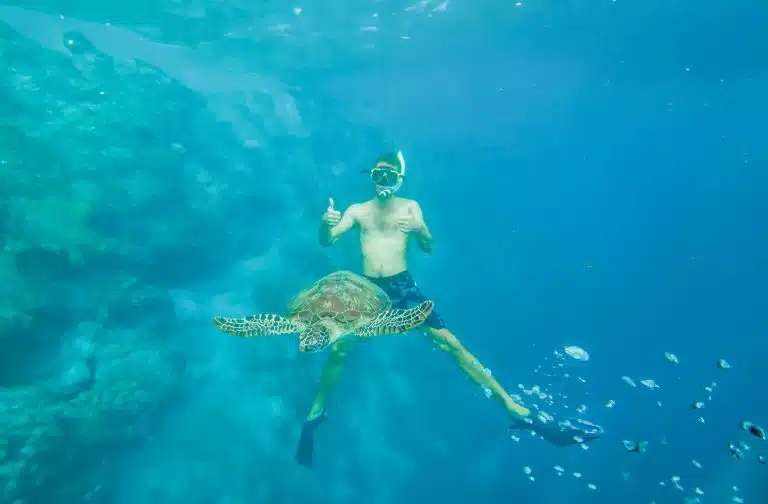 Chase, wearing snorkeling gear, with a turtle.