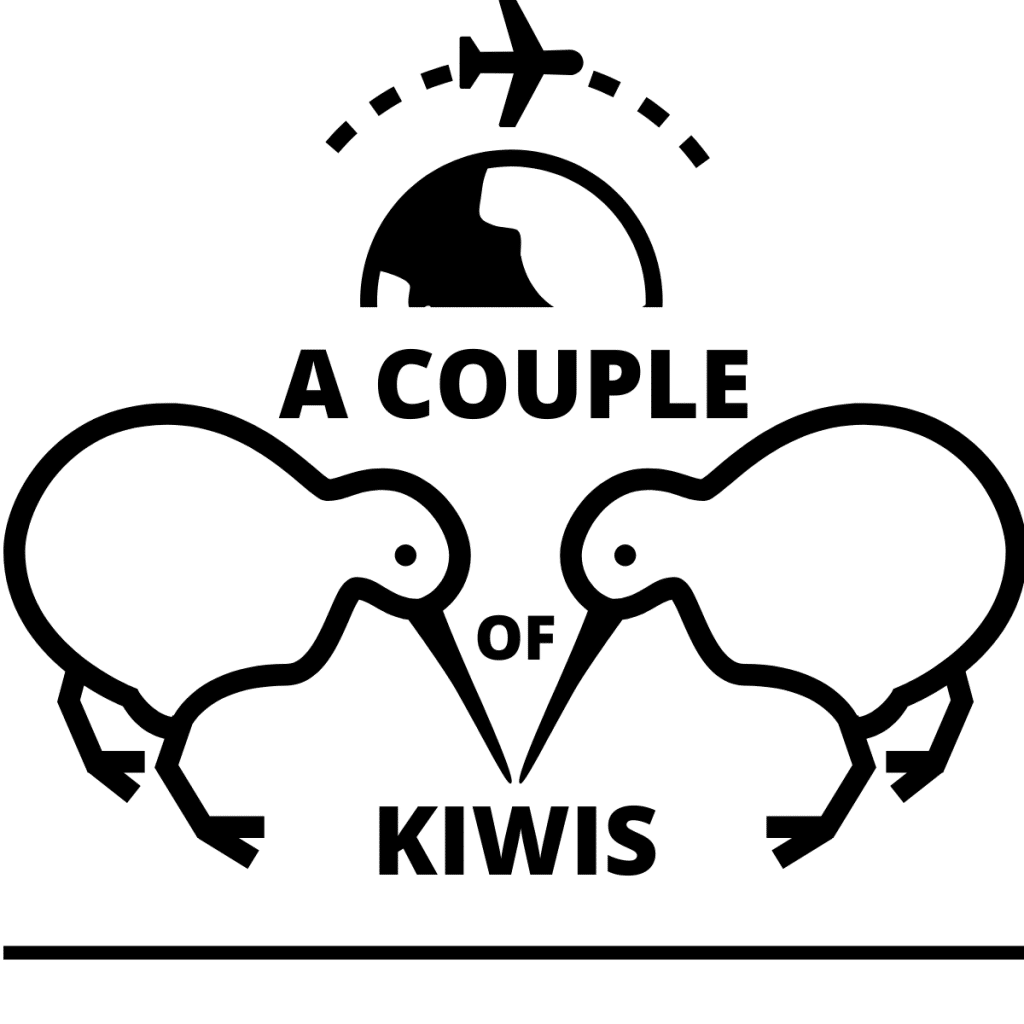 A couple of kiwi birds with a plane flying around them.